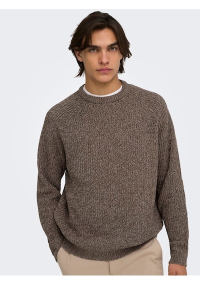 Only & Sons Onsjoın Rlx Ls Raglan Knıt Falcon Çok Renkli