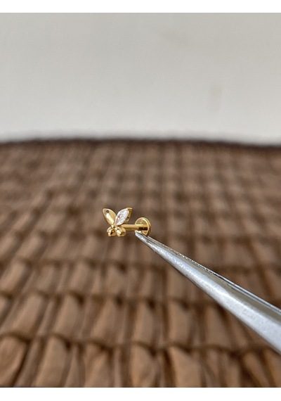Gerçek Titanium G23 Kelebek Zirkon Altın Titanyum 6x1.2mm Bedenilabret Piercing Altın