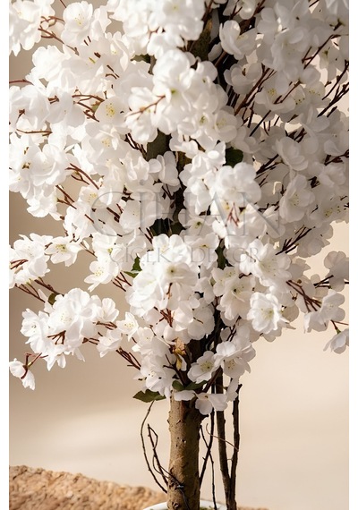 Cihan Çiçekçilik Yapay Beyaz Bahar Dalı Ağacı 180cm- 27x33 Cm Küre Saksılı Diğer