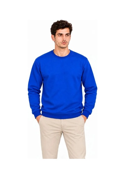Erkek Bisiklet Yaka İçi Şardonlu 2 İplik Düz Uzun Kollu Regular Fit Sweatshirt - Mavi