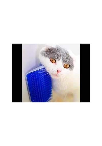 Tr Kediler Için Cat It Kedi Tüyü Kaşıma Kaşınma Köşe Kenar Masaj Fırçası Tarama Aparatı