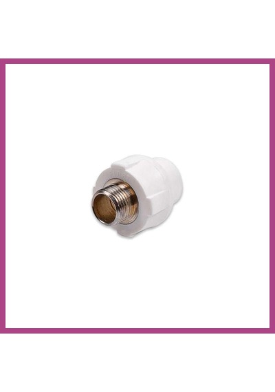 Gees Global Pprc 20mm1/2 Dış Dişli Nipel 1 Adet Gbzs
