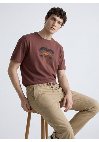 Discovery Expedition Kahverengi Unisex Bisiklet Yaka Baskılı T-shirt D6su-tst3100 Kahve