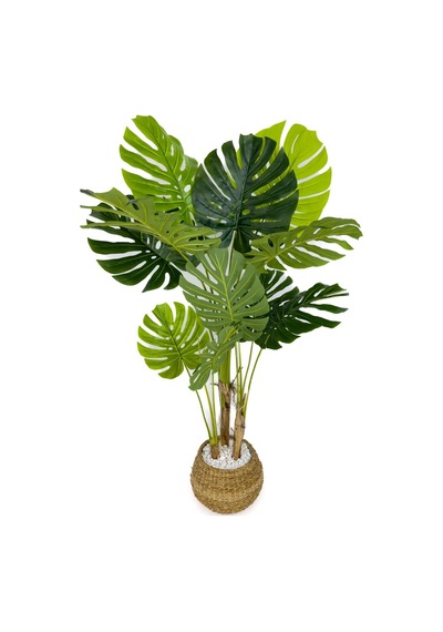 Biçiçek Yapay Monstera Ağacı Deve Tabani 150 Cm Geoi̇t Hasir Saksıda