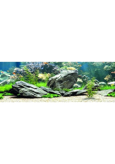 Kanki Pet Kp18565034 Akvaryum Arka Fon Yapıştırma 185 X 65 Cm