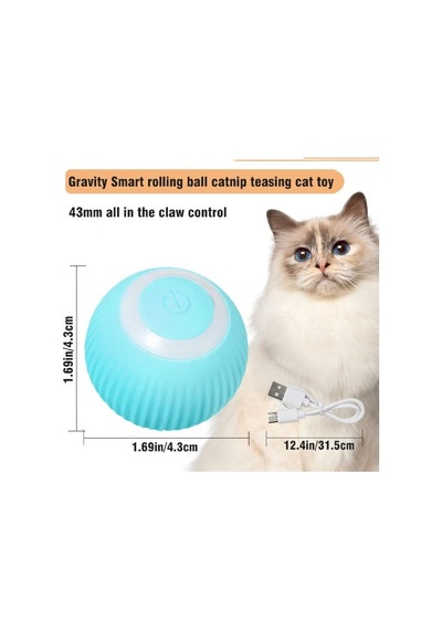 Kedi Oyuncagı İnteraktif Hareketli Top