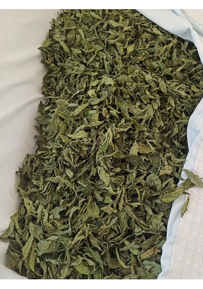 Hybrid Molehiya Yaprağı 400 G