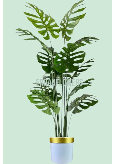 Yapay Ağaç Monstera Deve Tabanı Ağacı 180 Cm 16 Yaprak Beyaz Gold Saksıda Çok Renkli