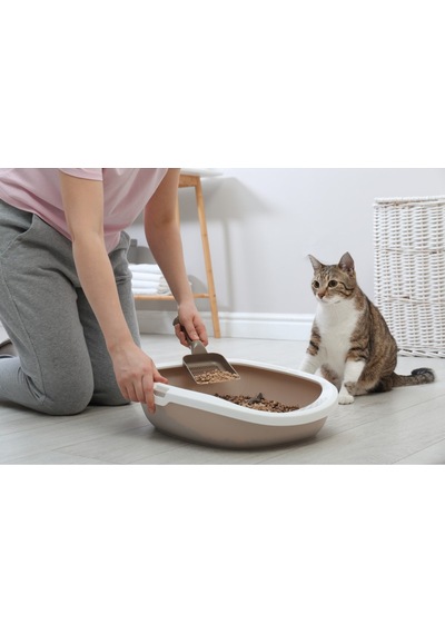 Kedi Kumu %100 Organik Çam Peleti Net 10 Kg