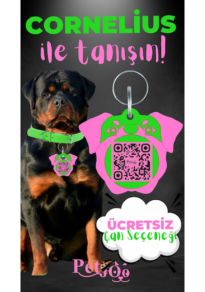 Petjoo 20.Cornelius Pembe-Yeşil Qr'lı Köpek Künyesi