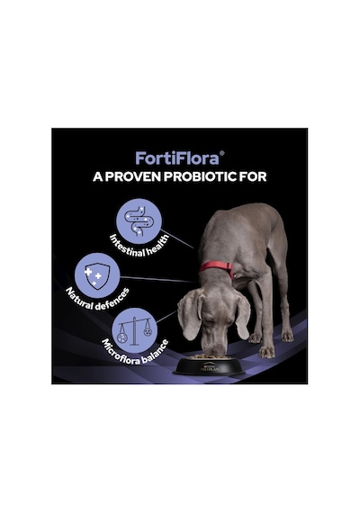 Pro Plan Vet Canıne Fortıflora Probıotıco 30x1gr