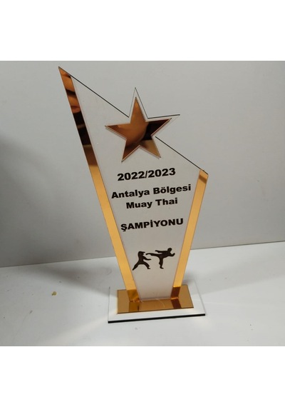 Plaket Karete/boks/judo/muay Thai Turnuvalarına Özel Altın