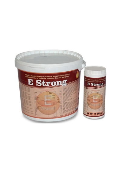 E Strong 1 Kg