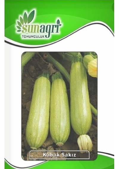 Sakız Kabak Tohumu 10 Gr. - 4 Saksı+torf Hediye