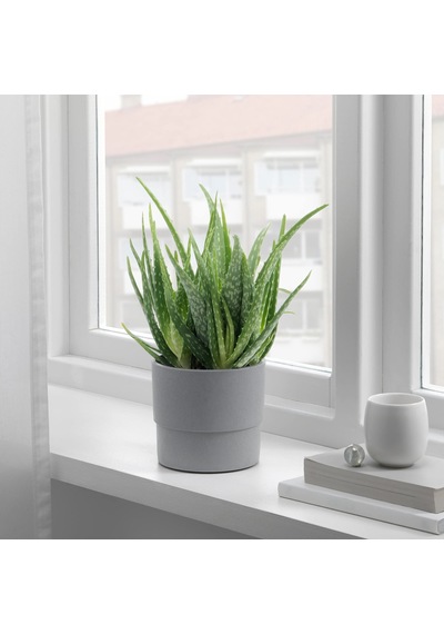 Ikea Nypon Bitki Saksısı, 12 Cm, Açık Hava Gri