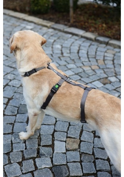 Kerbl Köpek Sırt Tasması Kaçış Önleyici 64 x 100 CM Gri