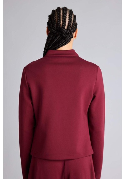 Defacto Standart Fıt Dik Yaka Skuba Dalgıç Kumaş Fermuarlı Sweatshirt G1172ax26spbr115 Bordo-br115