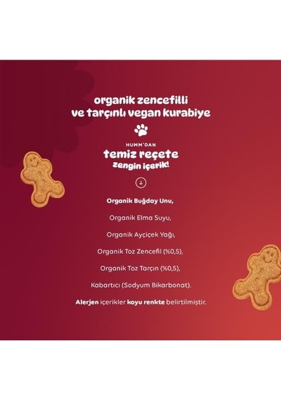 Bezos Organik Zencefilli Ve Tarçınlı Vegan Kurabiye 55 Gr Nıda