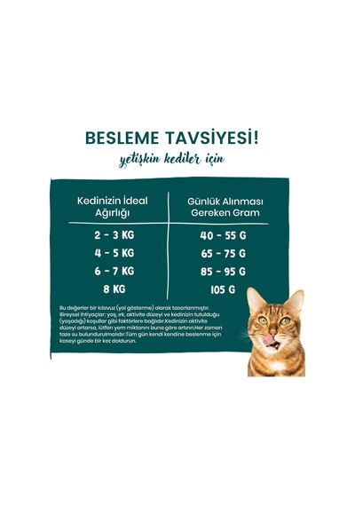 Sanabelle Outdoor Ördek Etli Yetişkin Kuru Kedi Maması 8 KG