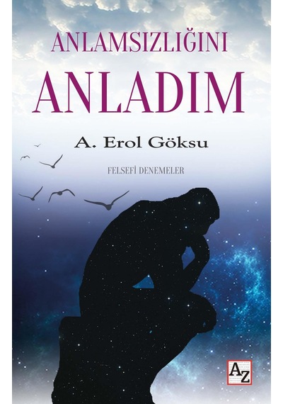Anlamsızlığını Anladım - A. Erol Göksu