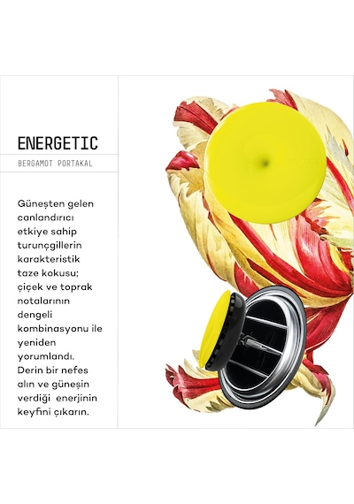 Vavana Spin Araba Klima Kokusu - Profesyonel Otomobil Kokusu Bpa & Sıvı İçermez 90 Gün Belirtilmemiş