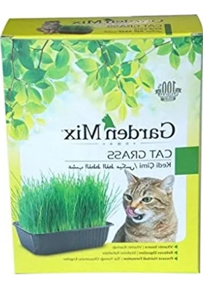 1 Adet Kahverengi Kedi Çimi, Bahçe Kullanımı İçin
