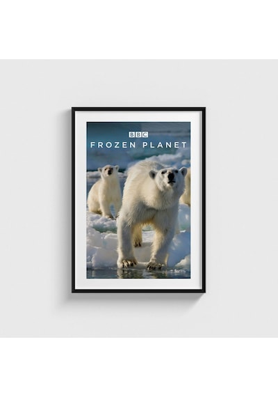 Frozen Planet Dizi Posteri Tablo Çerçeveli Poster Duvar Dekorasyonu Siyah Çerçeveli Tablo Siyah Çerçeveli Tablo Dn11d457sıyah
