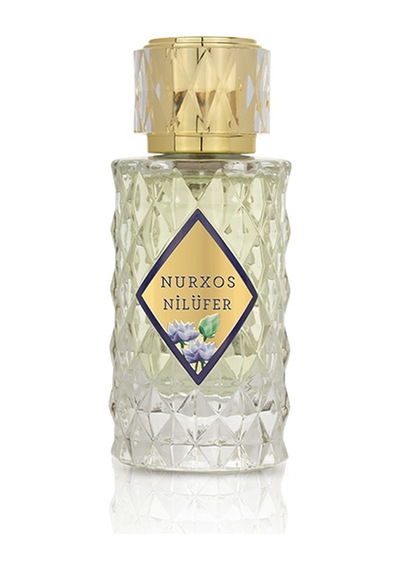 Nurxos 9716 Nilüfer EDP Erkek Parfümü 8681124697165 65 ML