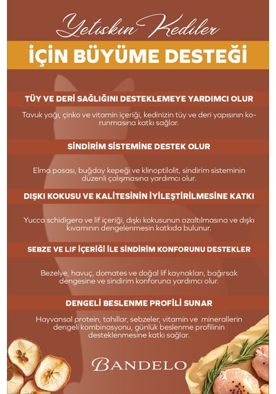 Bandelo Tavuklu Sebzeli Yetişkin Kuru Kedi Maması 750gr - Parlak Tüy Ve Koku Önleyici Etkili