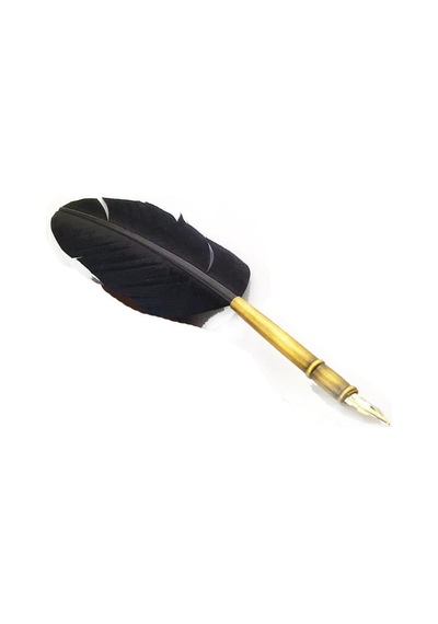 Steel Pen Kuş Tüyü Divit Kalemi Seti