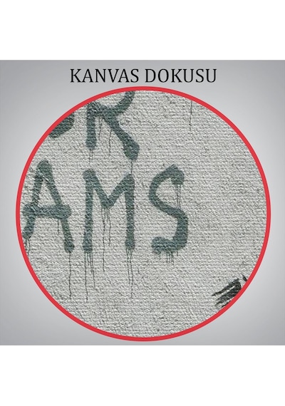 Es10 Denize Yakın Ev, Deniz Kıyısı, Rengarenk Çiçekler, Yaz Deniz Manzarası-1113 (70 x 100)