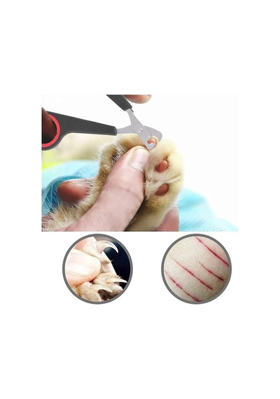 Paslanmaz Çelik Tırnak Makası, Ergonomik Ve Güvenli Kullanım