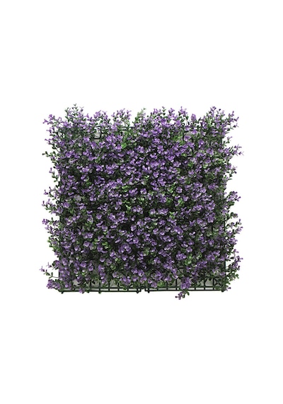 Koçtaş Yaprak Çit Eflatun 50x50