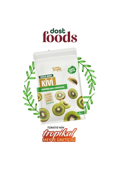 Dondurularak Kurutulmuş Kivi 18 G Freeze Dried Meyve Cipsi Çıtır Meyve Kurusu 6 Adet