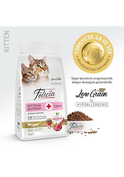 Felicia Kitten & Mother Düşük Tahıllı Kuzu Etli Yavru Kedi Maması 2 KG