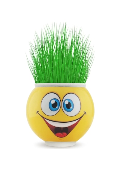 Çocuklar İçin Çim Adam Saksı Emoji Figürlü 1 Adet Şirin Gülen Surat Çim Adam Saksı