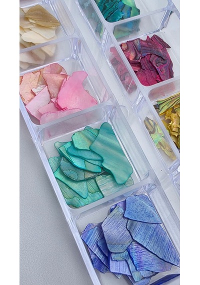 12li Sedefli İnce Deniz Kabuğu Tırnak Süsleme Charm Nail Art Charm Taşları Wn-510