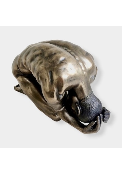 Wise Body Biblo (552956569)