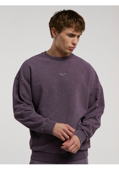 Everlast Bronx 1910 Yıkamalı Mor Erkek Sweatshirt Mor