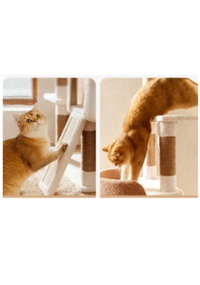 Karamel Kedi Ağacı 3 Katlı Tırmalama Direği Yatak ve Oyuncaklı Bej-Kahverengi Kolay Kurulum