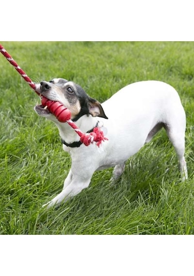 Kong Dental Diş Temizliği İçin İp Sallantılı Köpek Çiğneme Oyuncağı Small Kırmızı