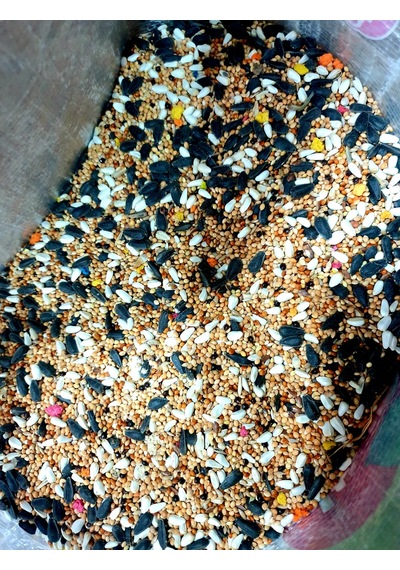 Akderepet Papağan Yemi 1 KG