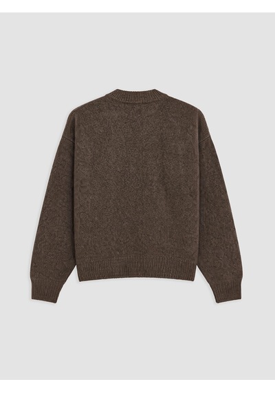 Lcwaıkıkı Classic Kahverengi Bisiklet Yaka Oversize Kadın Triko Kazak