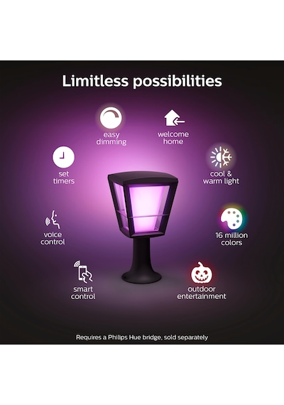 Philips Hue WCA Econic Dış Mekan Set Üstü Lamba 1x15W