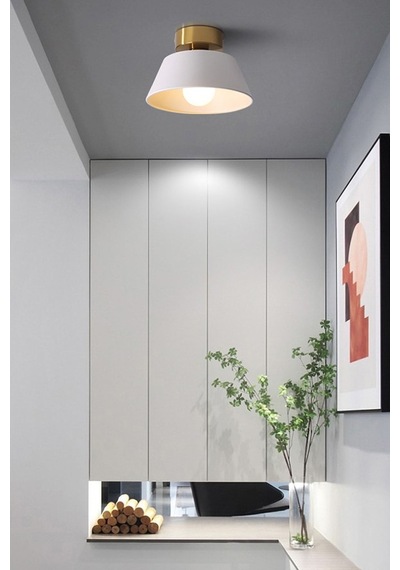 Dolly Modern Hol Koridor Giriş Için Tekli Plofonyer Metal Avize Siyah