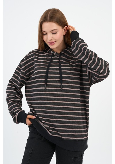 Alexander Gardi Çizgili Kapüşonlu Sweatshirt Unx-00242-wn Kahverengi