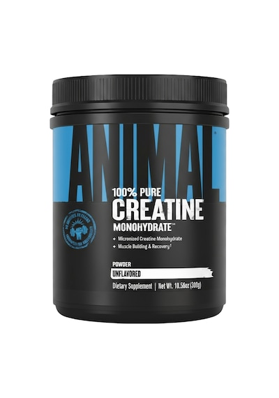 Universal Animal Creatine Monohydrate 300 Gr Standart
