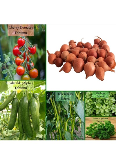 6 Paket Tohum No7 Iska Soğan Tohumu Arpacık Soğan Çeri Domates Frenk Maydanoz Salatalık Biber Tohumu