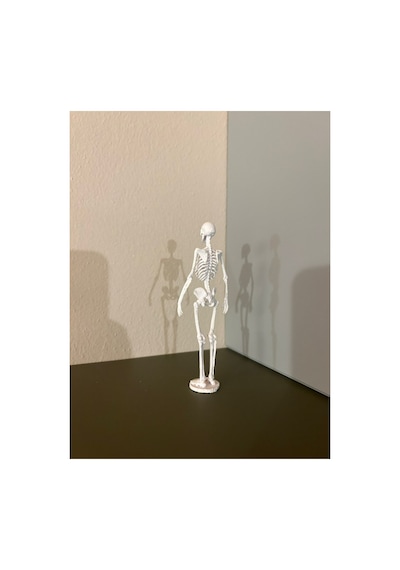 İnsan İskelet Kemiği Anatomisi Maketi Tıp Ve Eğitim İçin 3d Baskı Masaüstü Dekoratif Model