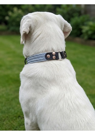 Köpek Boyun Tasması Ayarlanabilir Küçük, Orta, Büyük Ve Çok Büyük Irk Örgü Kolon & Deri